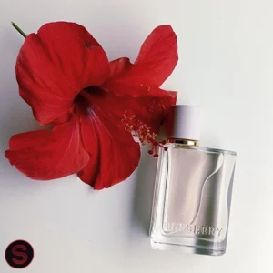 تصویر عطر باربری هر