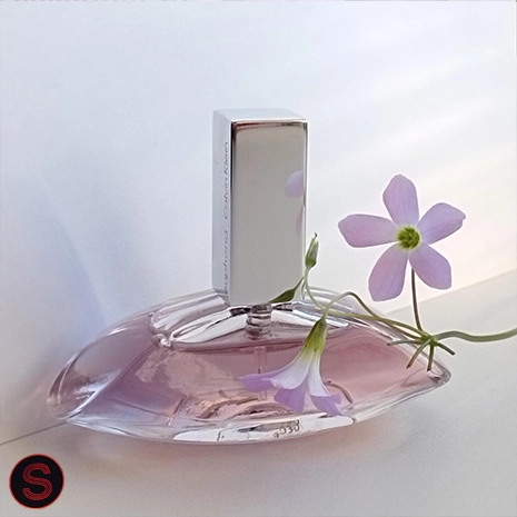 logo-sarv copy7778 تصویر عطر ایفوریا زنانه